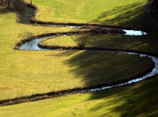 Wiese Bachlauf geschlängelt