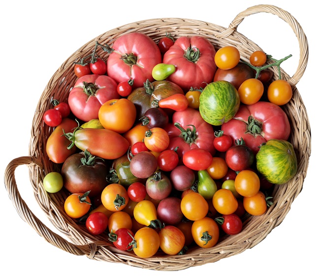 Gemischte Tomatensorten im Korb